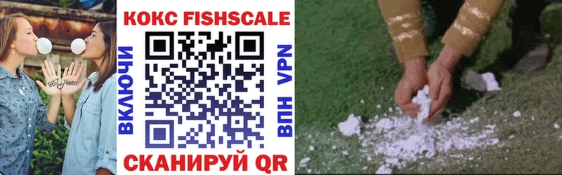 COCAIN Fish Scale  Купить закладки  Новопавловск 