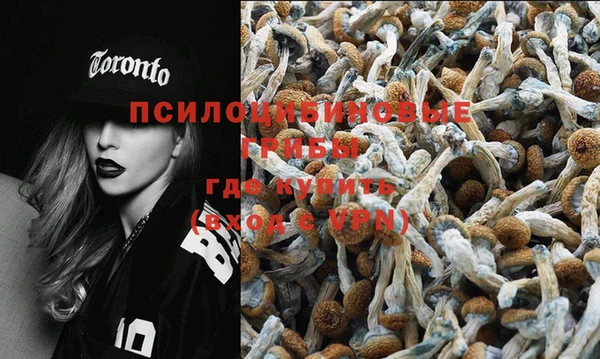 хмурый Бронницы