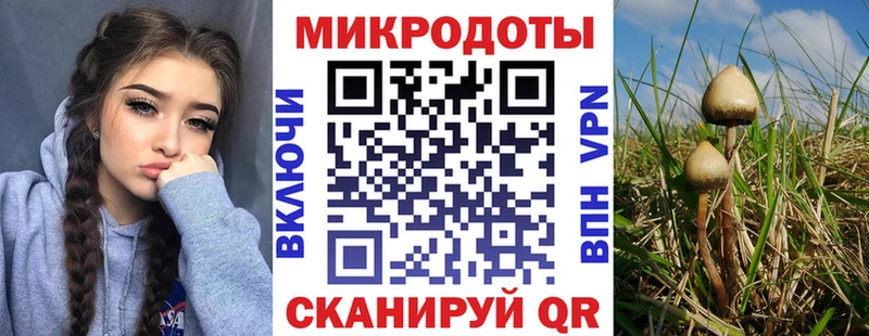 Галлюциногенные грибы GOLDEN TEACHER  Купить где  Новопавловск 